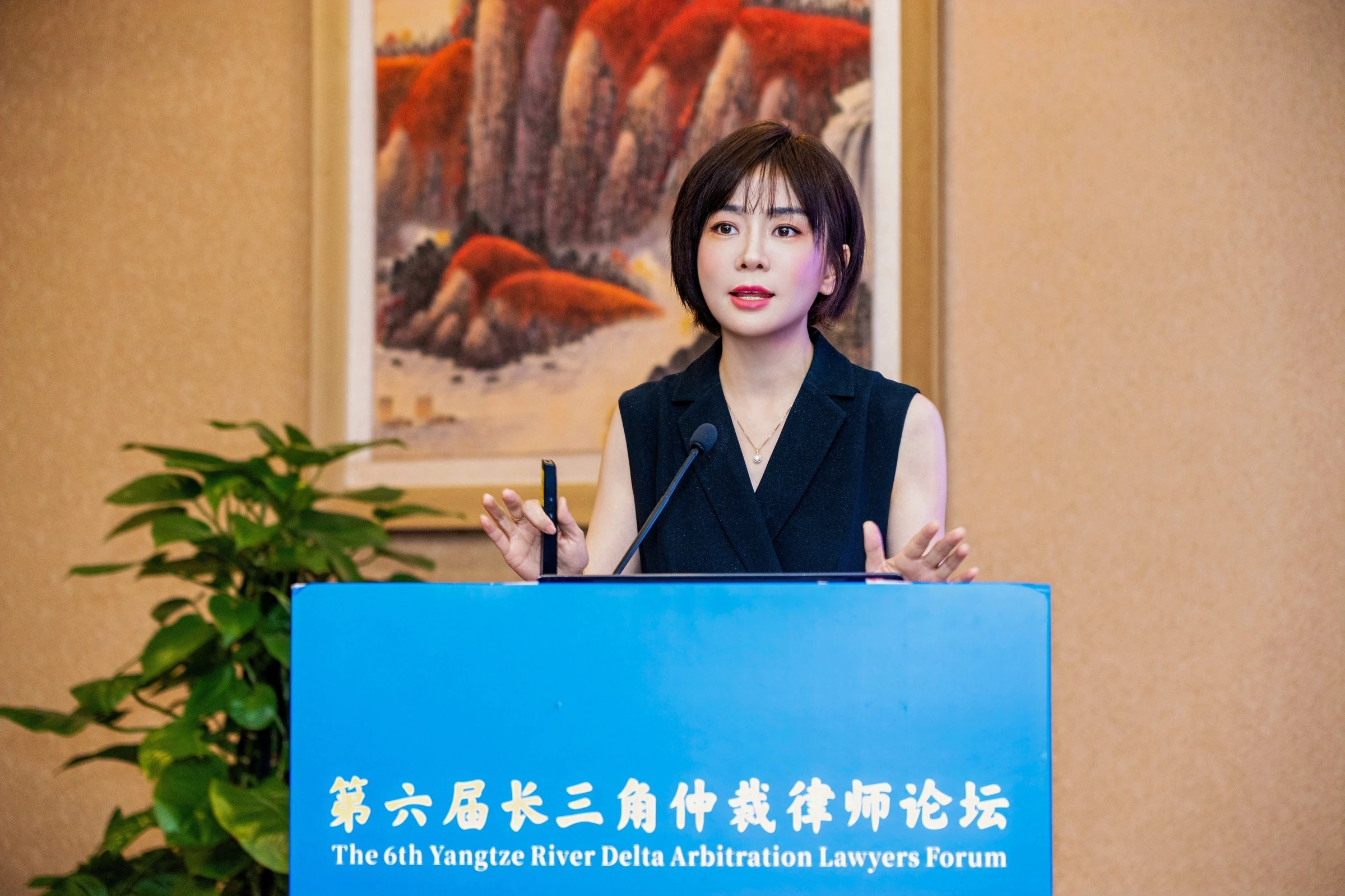 费丹丹律师在长三角仲裁律师论坛发言 费丹丹律师在长三角仲裁律师论坛发言